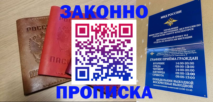 временная регистрация собственник в Камышине